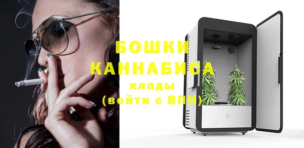крисы Аркадак