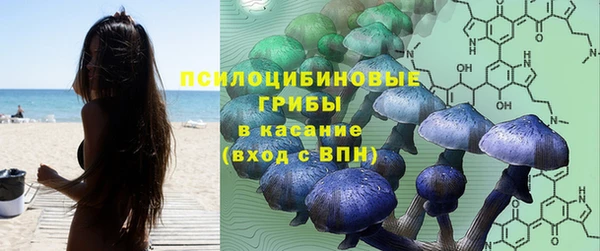 крисы Аркадак